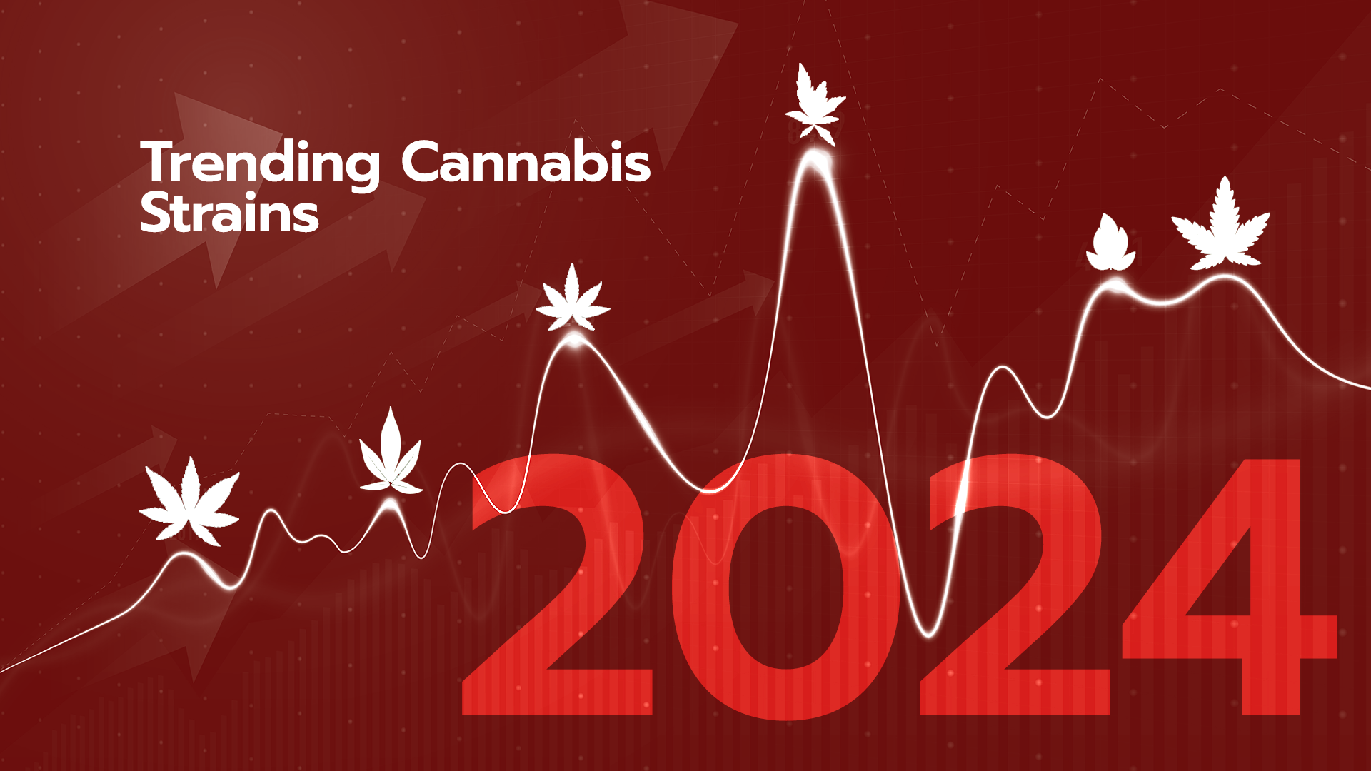 Trending Cannabis Strains For 2024 HIBEGONE   2 Hibe 